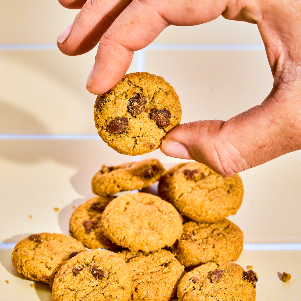 Mini Chocolate Chip & Mini Confetti
